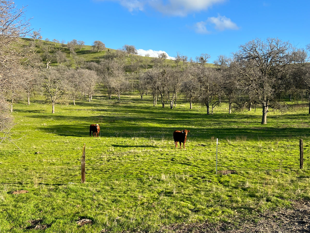 Products – Grisedale Ranch Beef